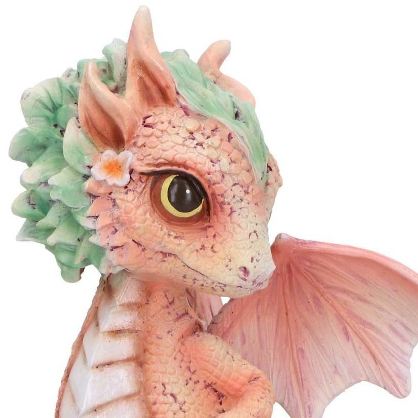 Dragon Carnation Flower Dragon