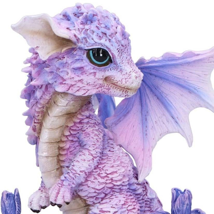 Dragon Iris Flower Dragon