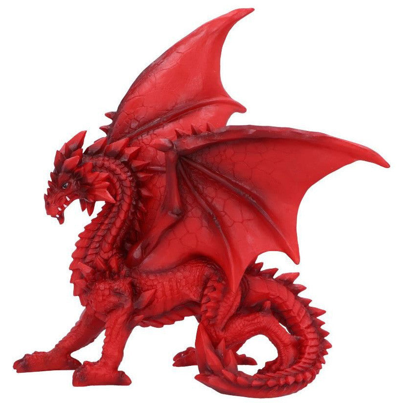 Dragon Tailong