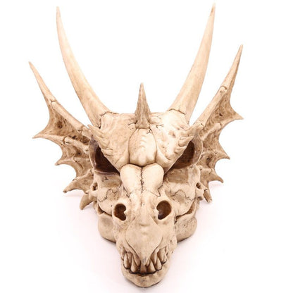 Crâne de Dragon Géant