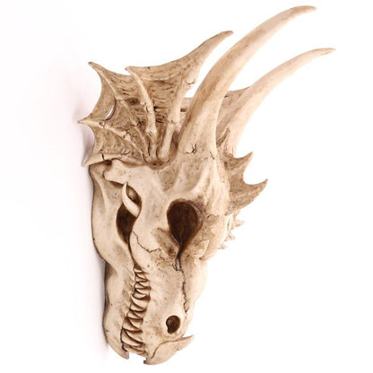 Crâne de Dragon Géant