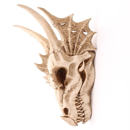 Crâne de Dragon Géant