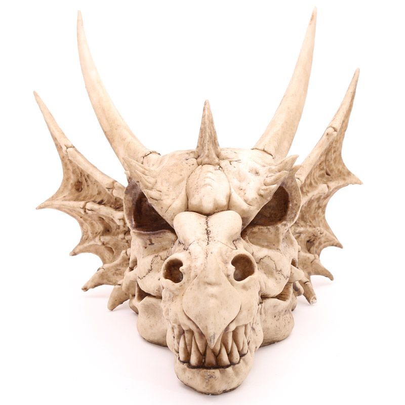 Crâne de Dragon Géant
