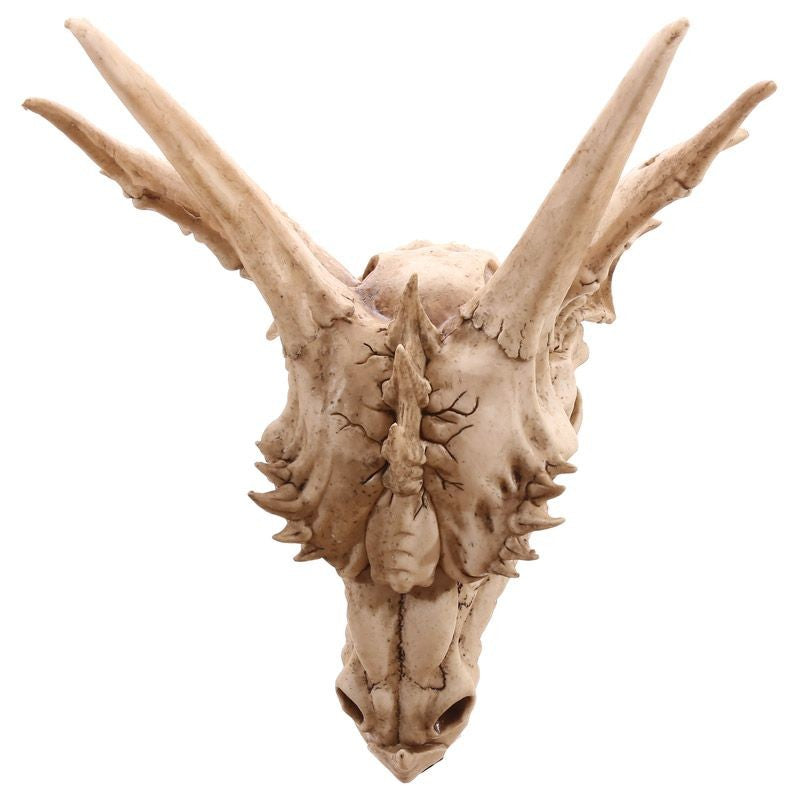 Crâne de Dragon Géant