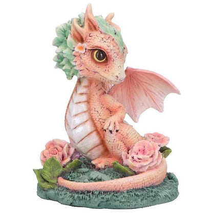 Dragon Carnation Flower Dragon