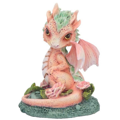 Dragon Carnation Flower Dragon