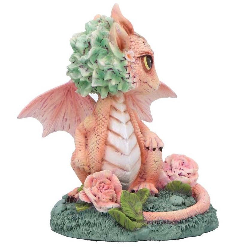 Dragon Carnation Flower Dragon
