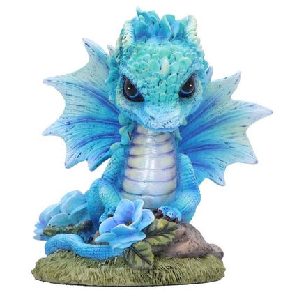 Dragon Blue Poppy Flower Dragon