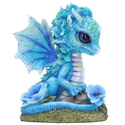 Dragon Blue Poppy Flower Dragon