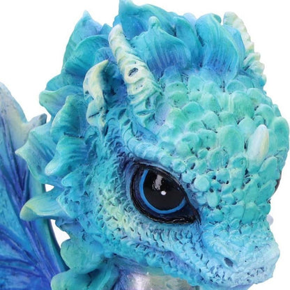 Dragon Blue Poppy Flower Dragon