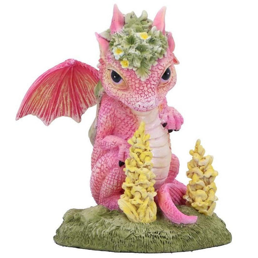 Dragon Snapdragon Flower Dragon
