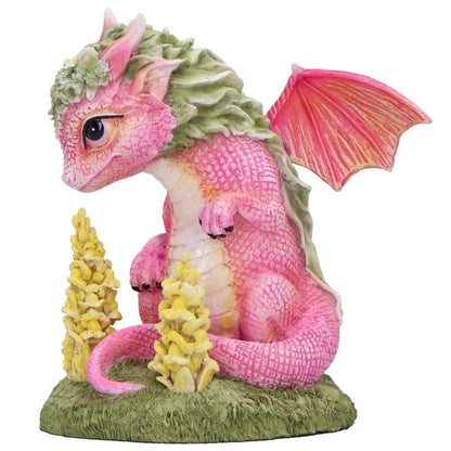 Dragon Snapdragon Flower Dragon