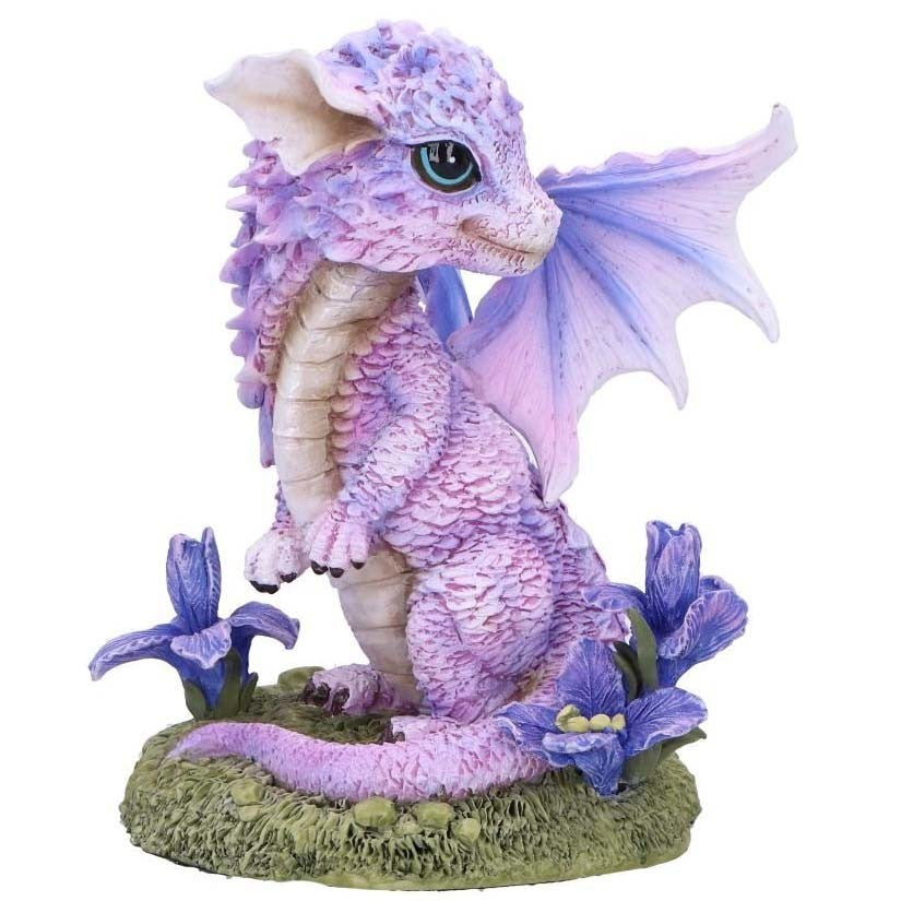 Dragon Iris Flower Dragon