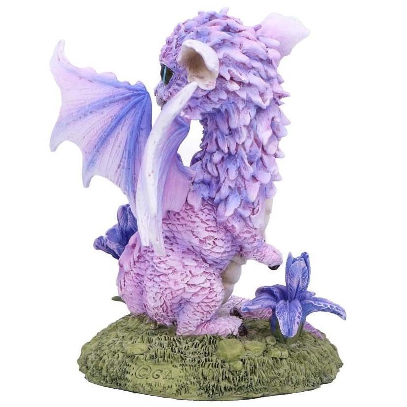 Dragon Iris Flower Dragon