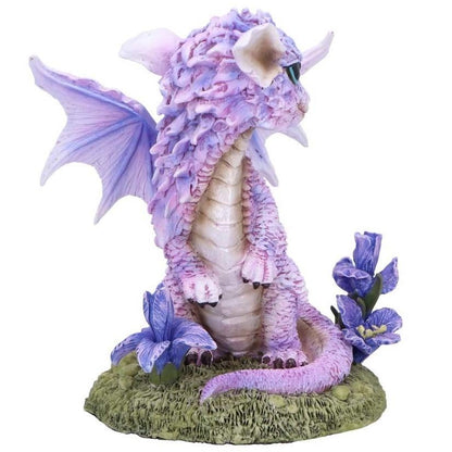 Dragon Iris Flower Dragon