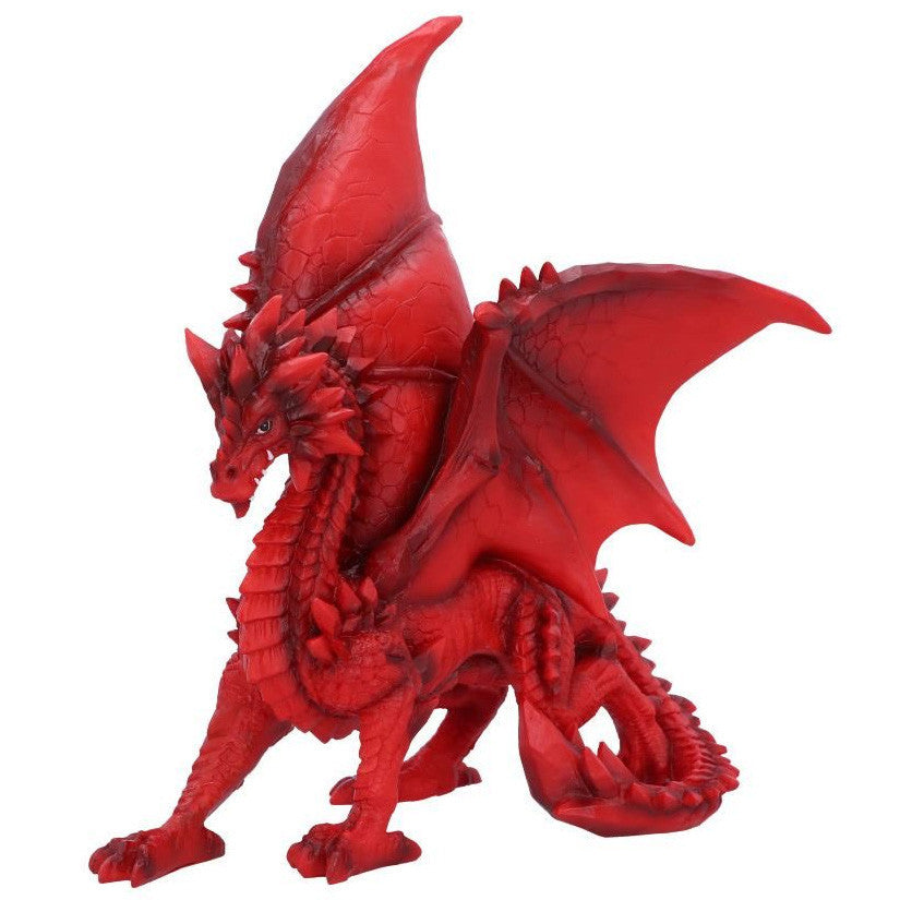 Dragon Tailong