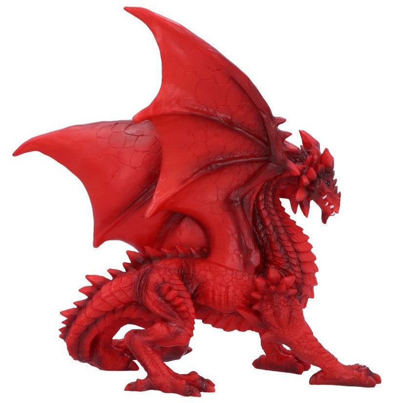 Dragon Tailong