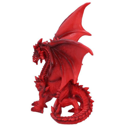 Dragon Tailong