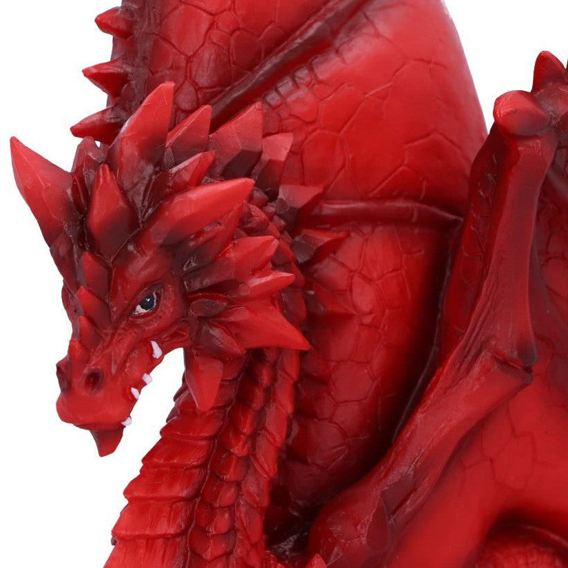 Dragon Tailong